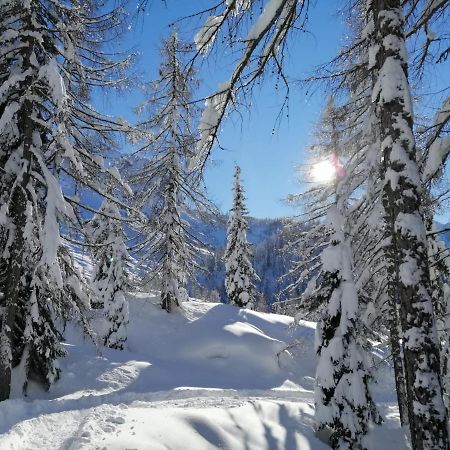Vista Pelmo Apartman Colle Santa Lucia Kültér fotó