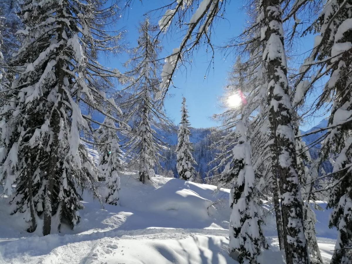 Vista Pelmo Apartman Colle Santa Lucia Kültér fotó